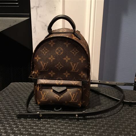 harga louis vuitton palm springs backpack mini|Louis Vuitton small backpack price.